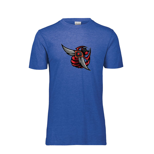 [FTSCUBRY-YS-LOGO1] Decker Youth Tri-Blend T-Shirt - Short Sleeve (Youth S, Royal, Logo 1)